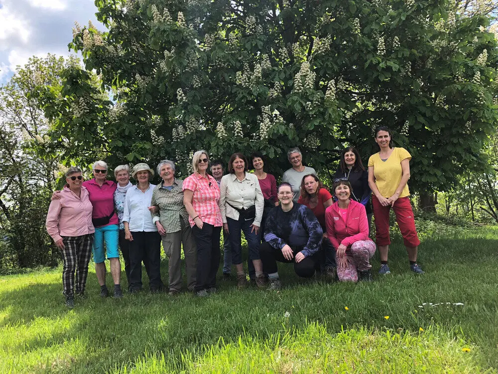 Gruppenfoto auf einer Wiese vor einem blühenden Baum | © DAV Heilbronn Frauenwandergruppe