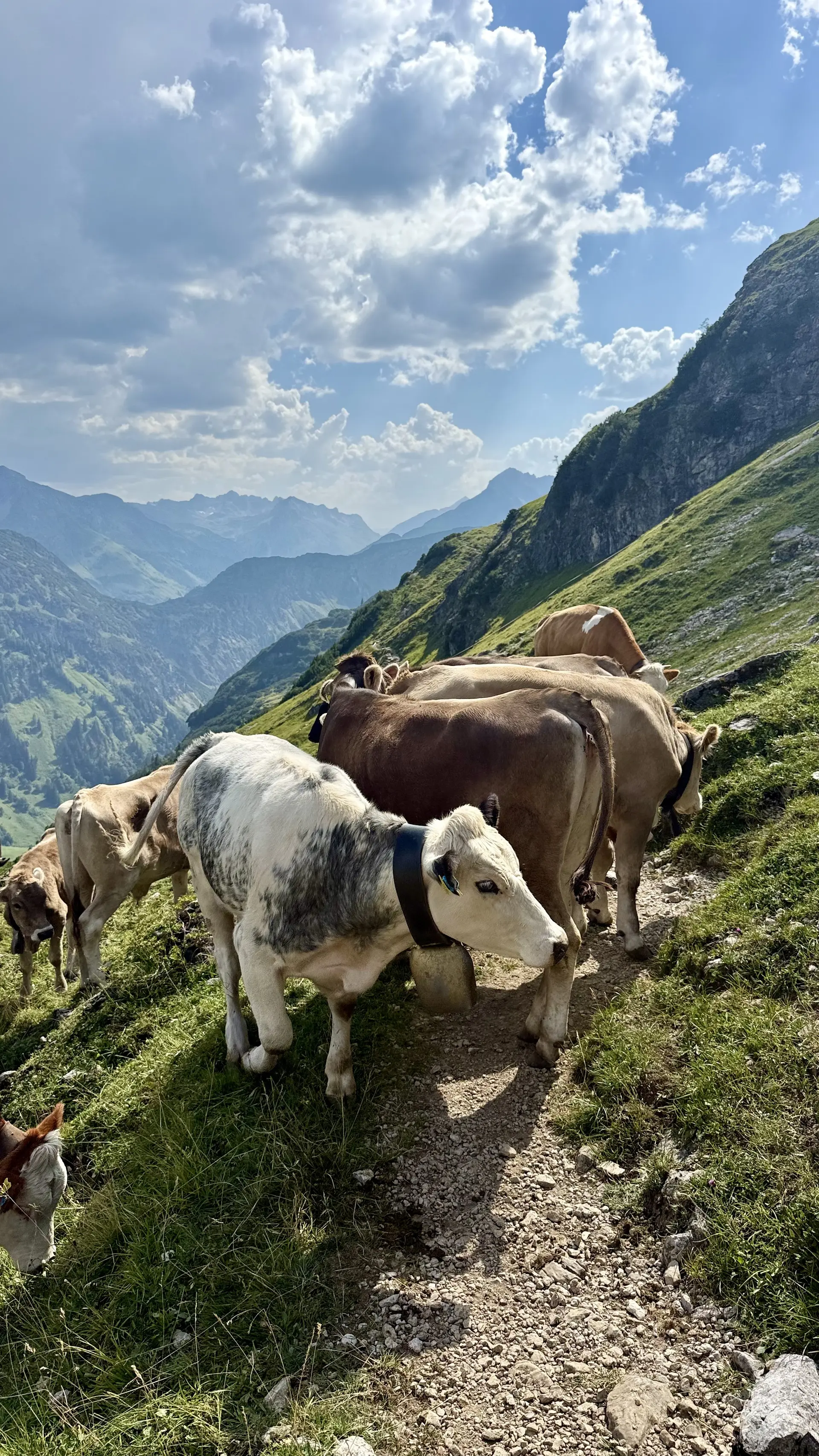 DAV Heilbronn | © Mindelheimer Hütte