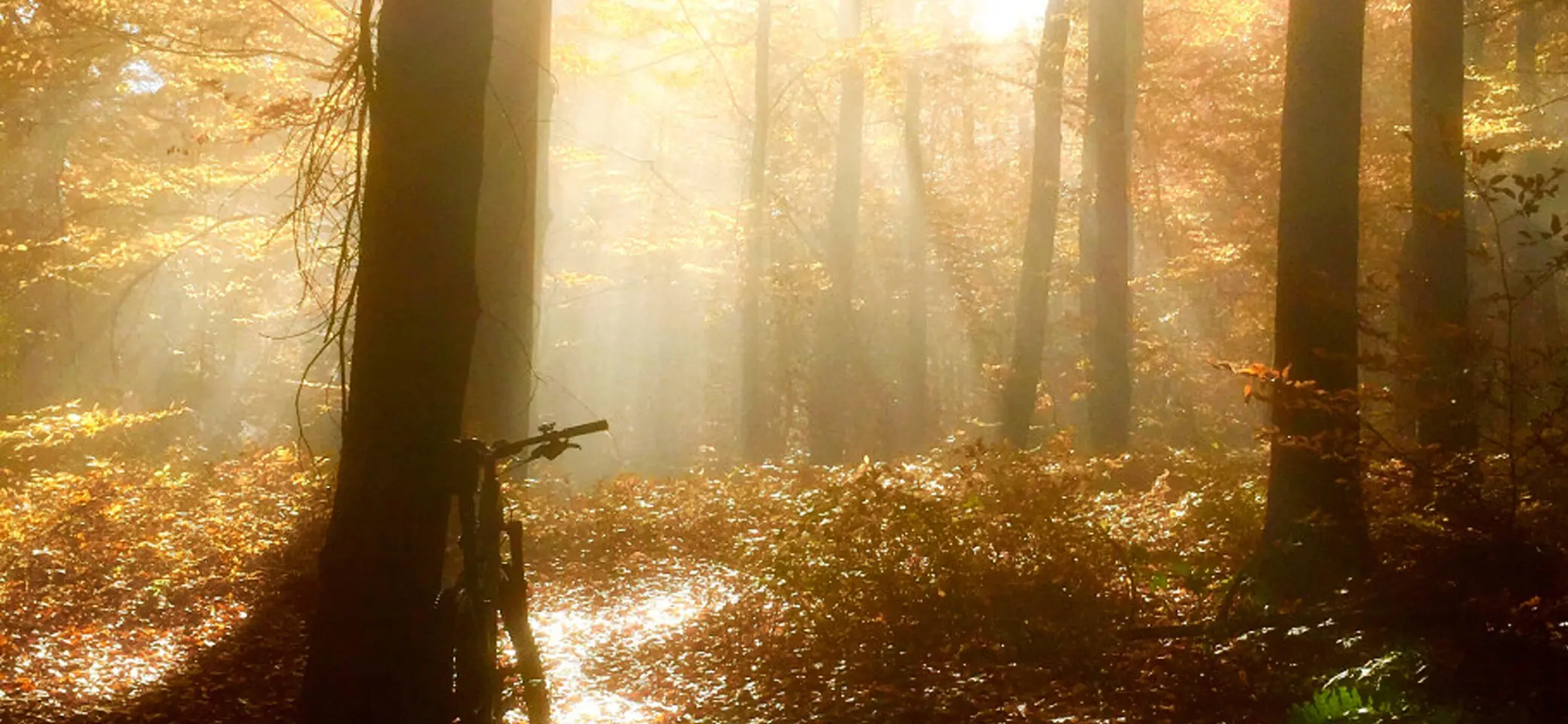 DAV Heilbronn Mountainbikegruppe | © DAV Heilbronn