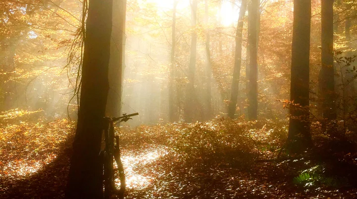 DAV Heilbronn Mountainbikegruppe | © DAV Heilbronn