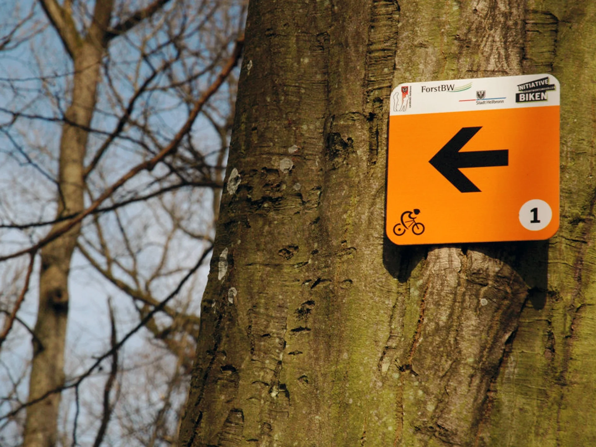 Nahaufnahme eines orangenen Schildes des Mountainbiketrails, das an einem Baum befestigt ist | © DAV Heilbronn DAV Heilbronn Mountainbikegruppe | © DAV Heilbronn