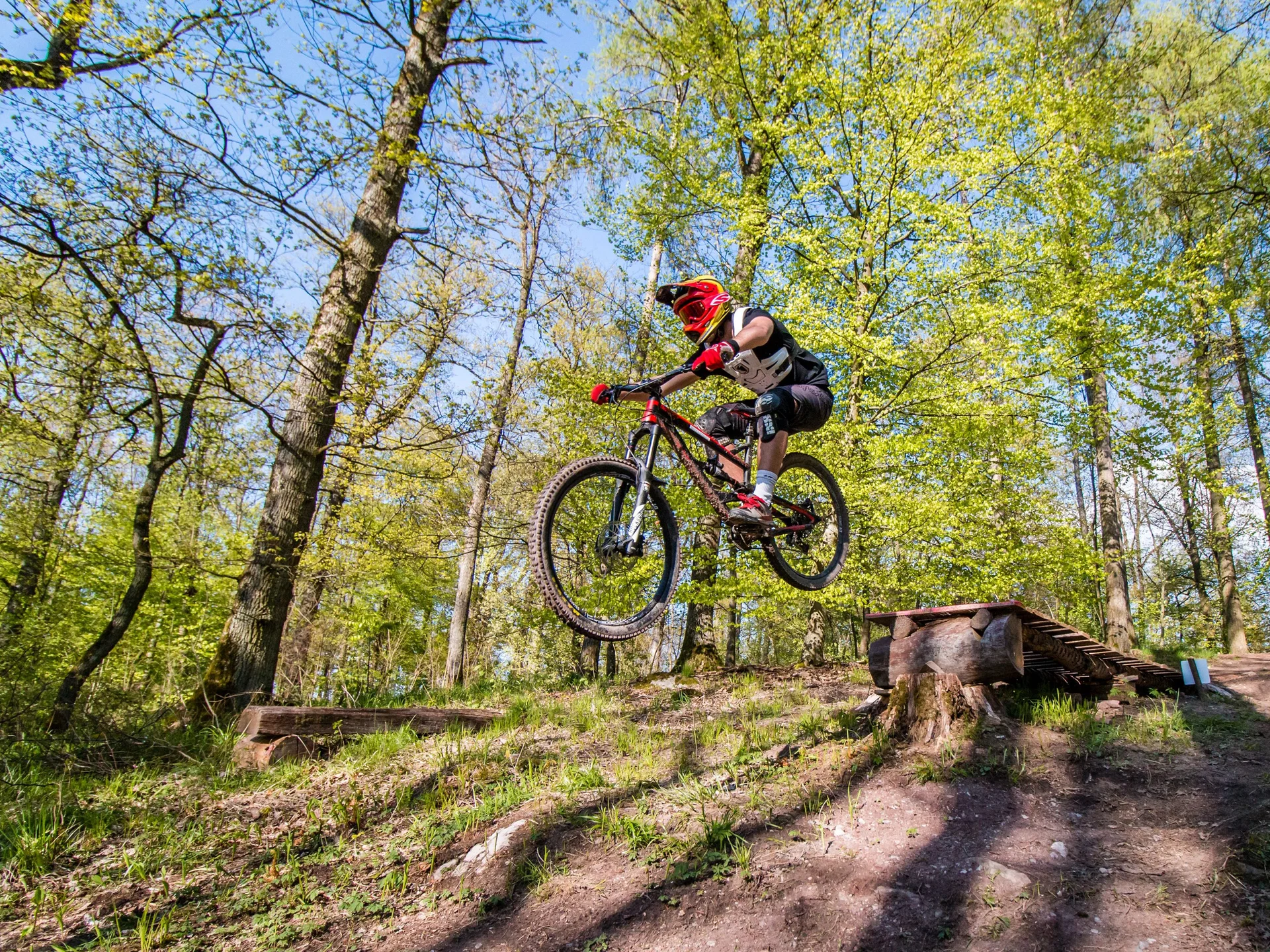 Mountainbiker springt über eine Schanze im Wald und steht in der Luft | © DAV / Michi Lehr DAV Heilbronn Mountainbikegruppe | © DAV / Michi Lehr