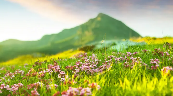 DAV Heilbronn Klimaschutz | © Freepik