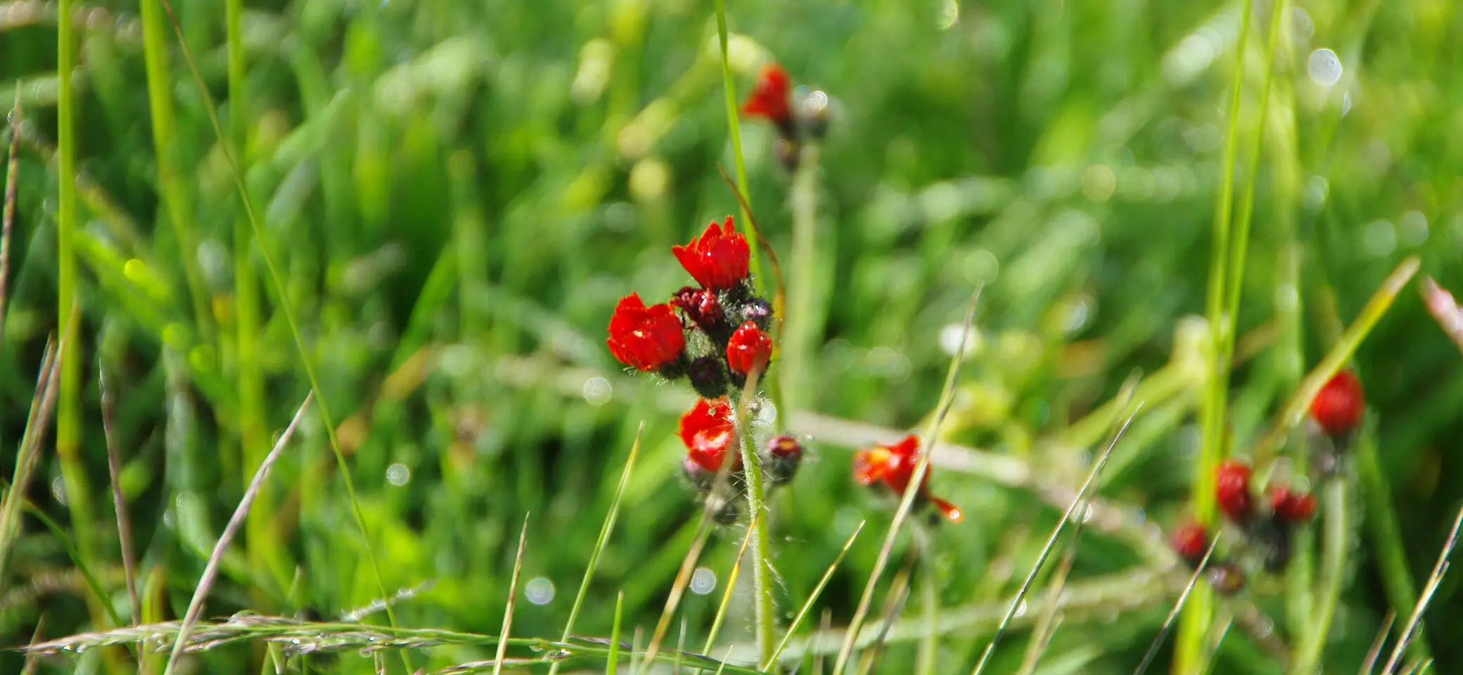 DAV Heilbronn Klimaschutz | © DAV / Jürgen Wetzel