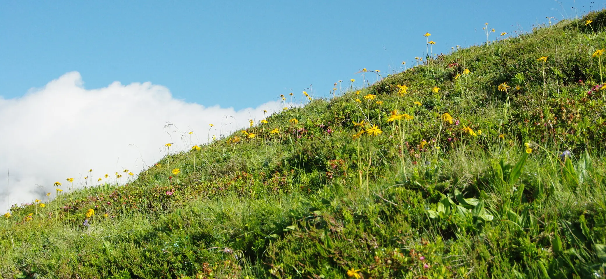 DAV Heilbronn Klimaschutz | © DAV / Jürgen Wetzel