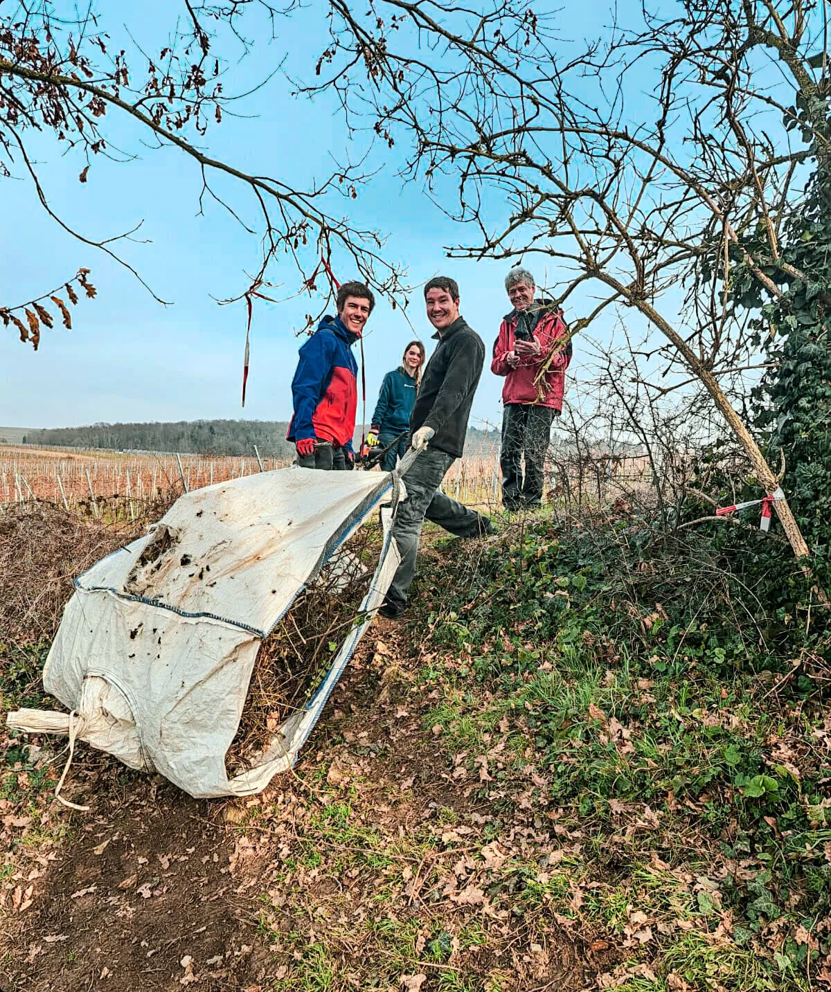 Pflegemaßnnahmen Hessigheim / Teamarbeit / DAV Heilbronn | © DAV Heilbronn