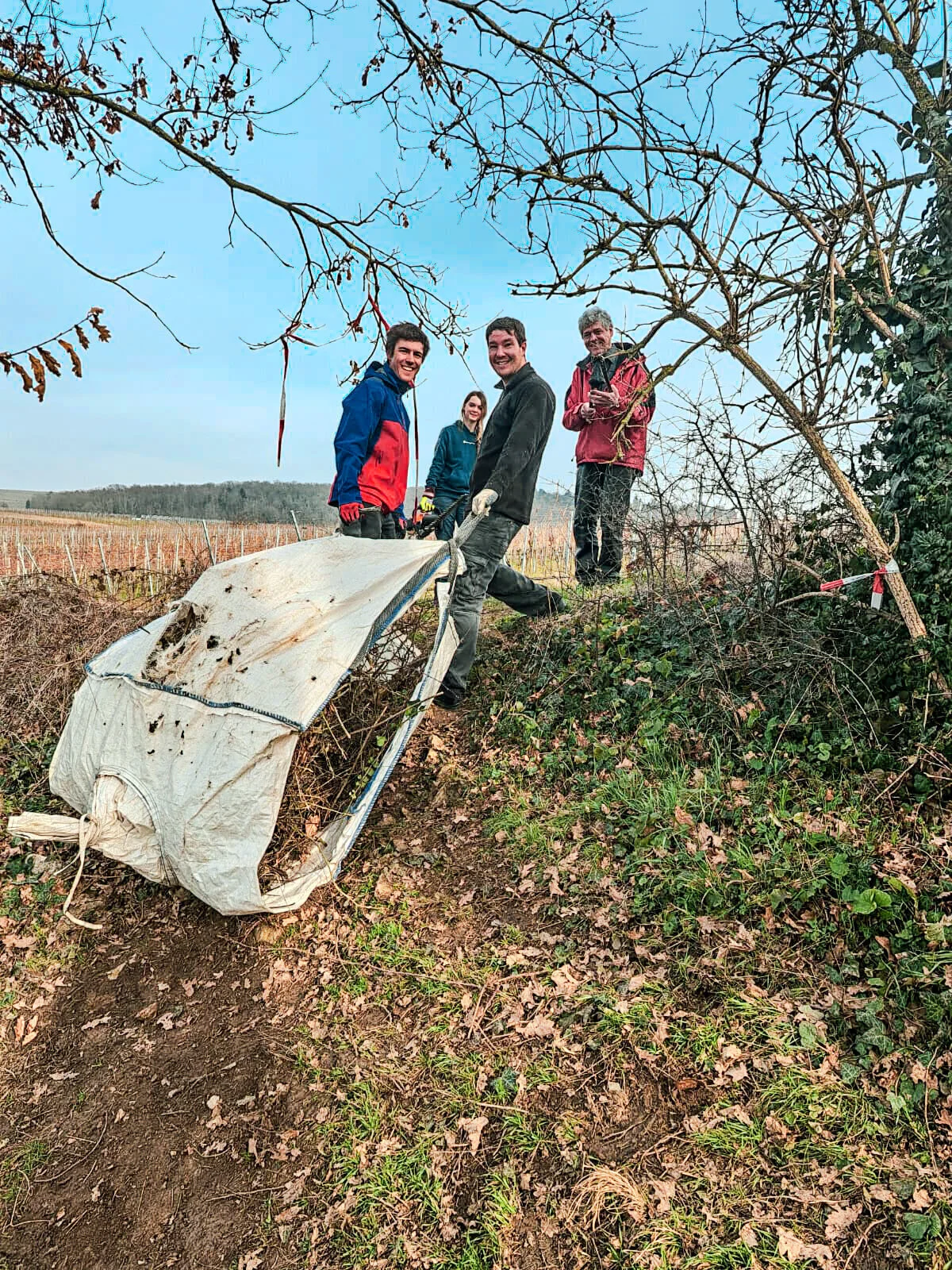 Pflegemaßnnahmen Hessigheim / Teamarbeit / DAV Heilbronn | © DAV Heilbronn