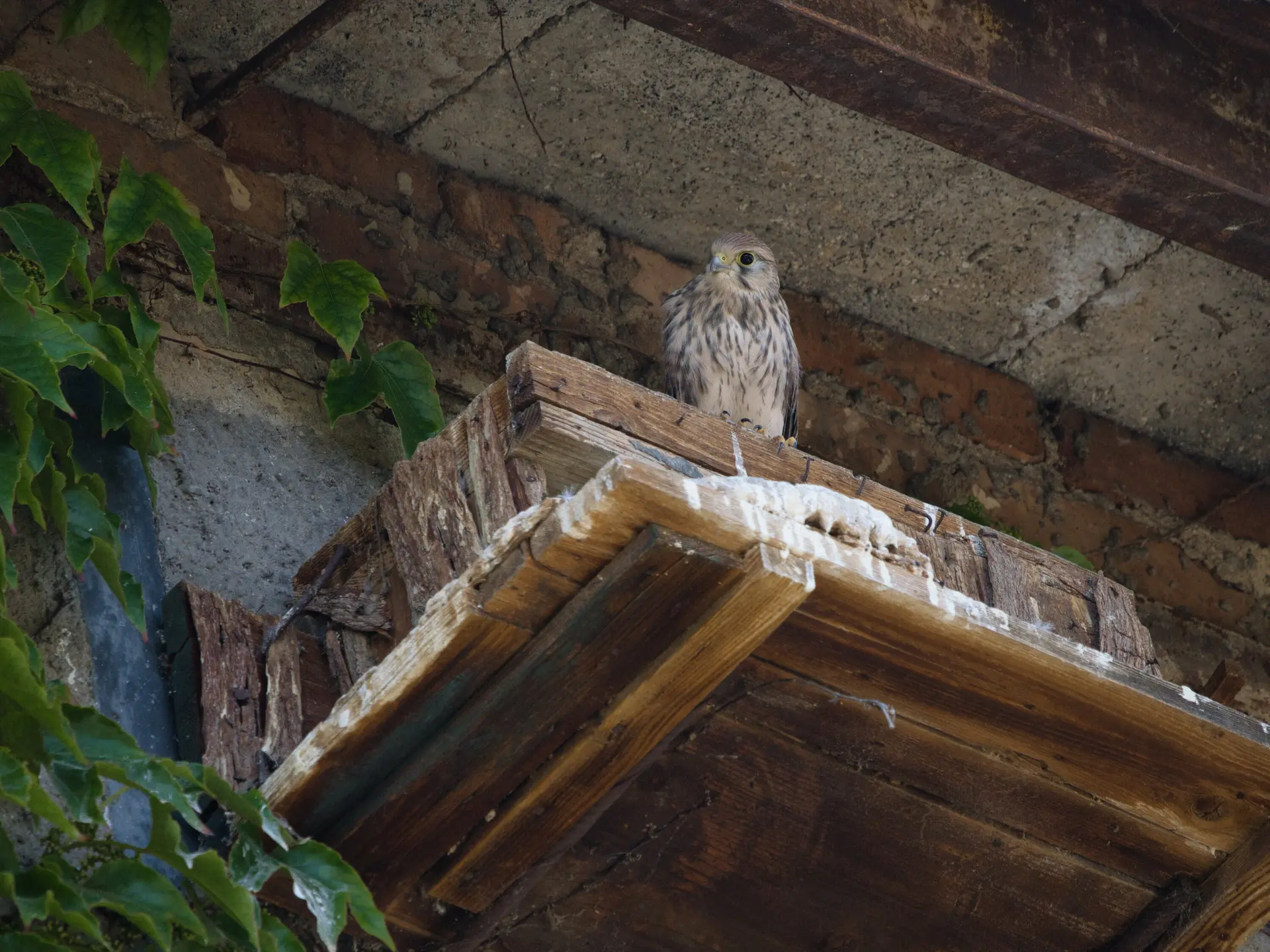 DAV Heilbronn Klimaschutz | © DAV / Leonie Knobel