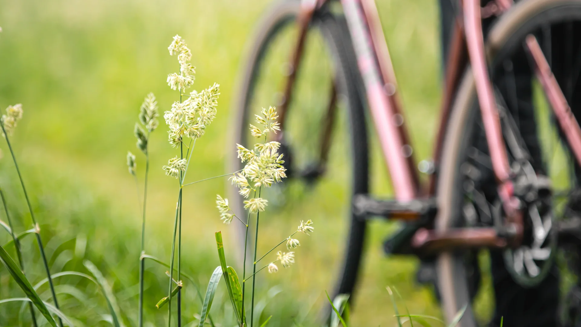 Genusstour / Mit dem Fahrrad unterwegs / DAV Heilbronn | © freepik