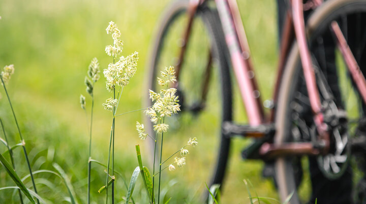 Genusstour / Mit dem Fahrrad unterwegs / DAV Heilbronn | © freepik