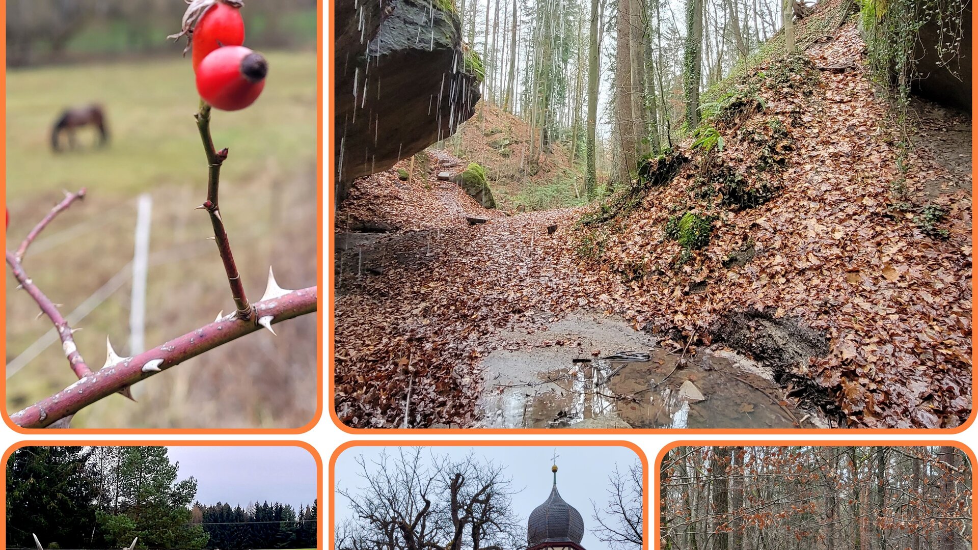 Monatswanderung Januar I Auf und ab um Wüstenrot | © DAV Heilbronn Monatswanderung Januar I Auf und ab um Wüstenrot | © DAV Heilbronn