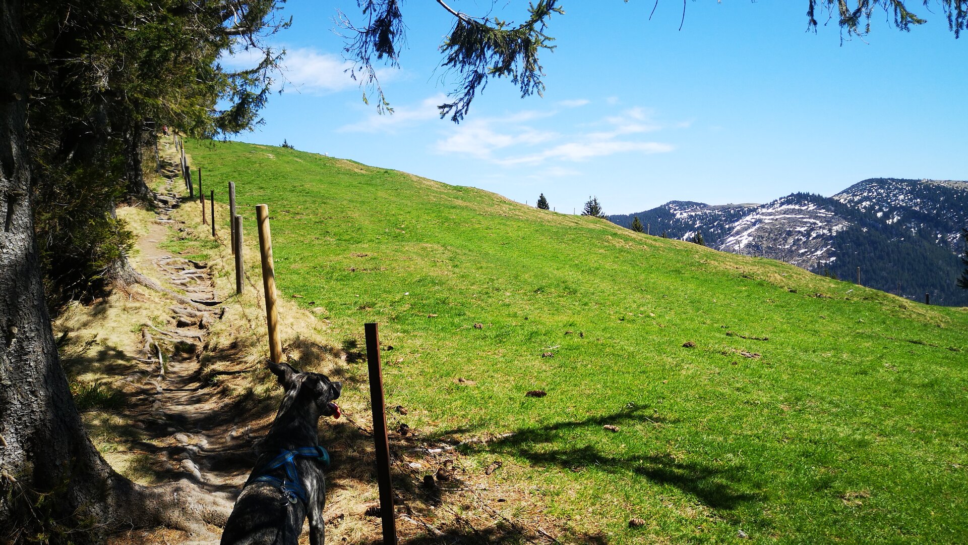 Bergwandern / Kurse und Touren / Jahresprogramm / DAV Heilbronn | © Verena Lany Bergwandern / Kurse und Touren / Jahresprogramm / DAV Heilbronn | © Verena Lany