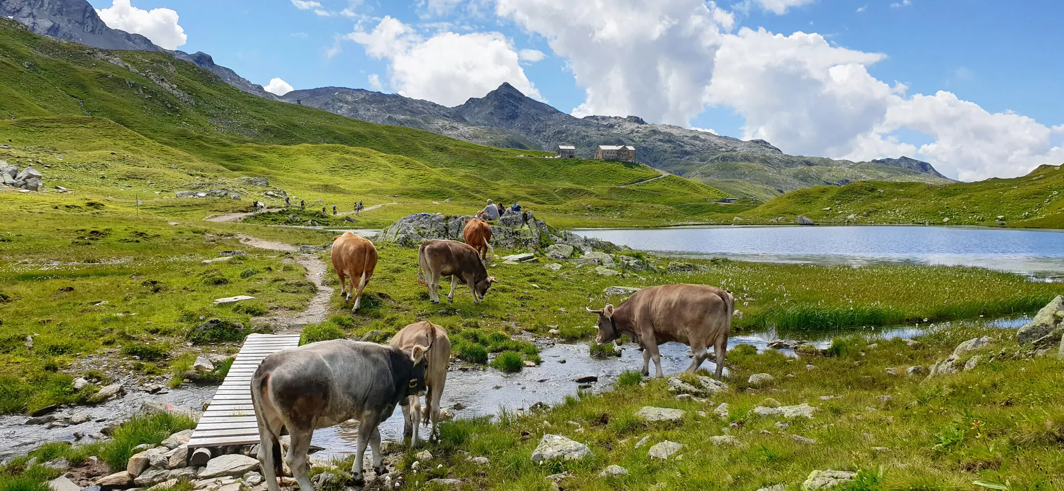 DAV Heilbronn Neue Heilbronner Hütte | © DAV Heilbronn