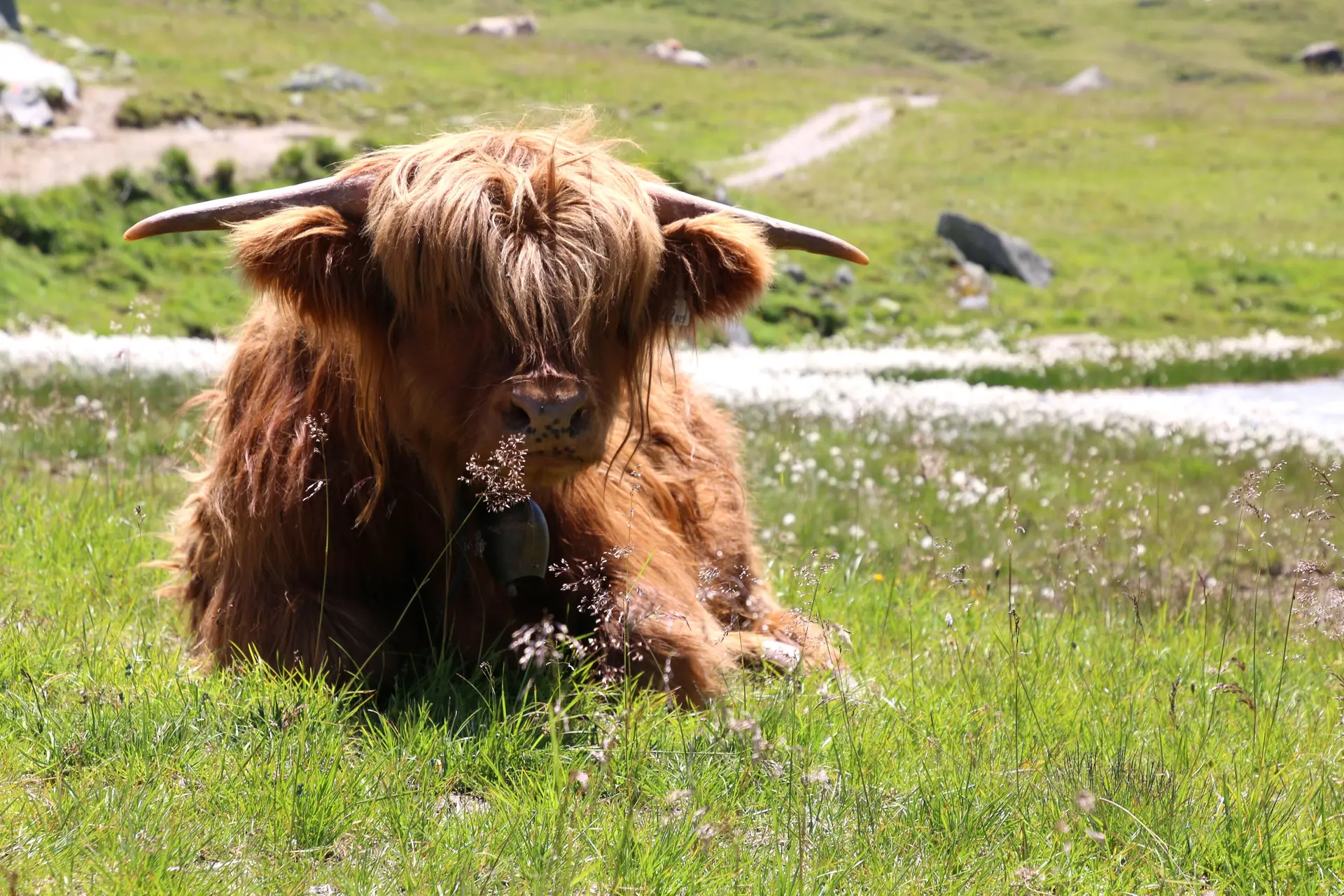 DAV Heilbronn Neue Heilbronner Hütte | © DAV Heilbronn