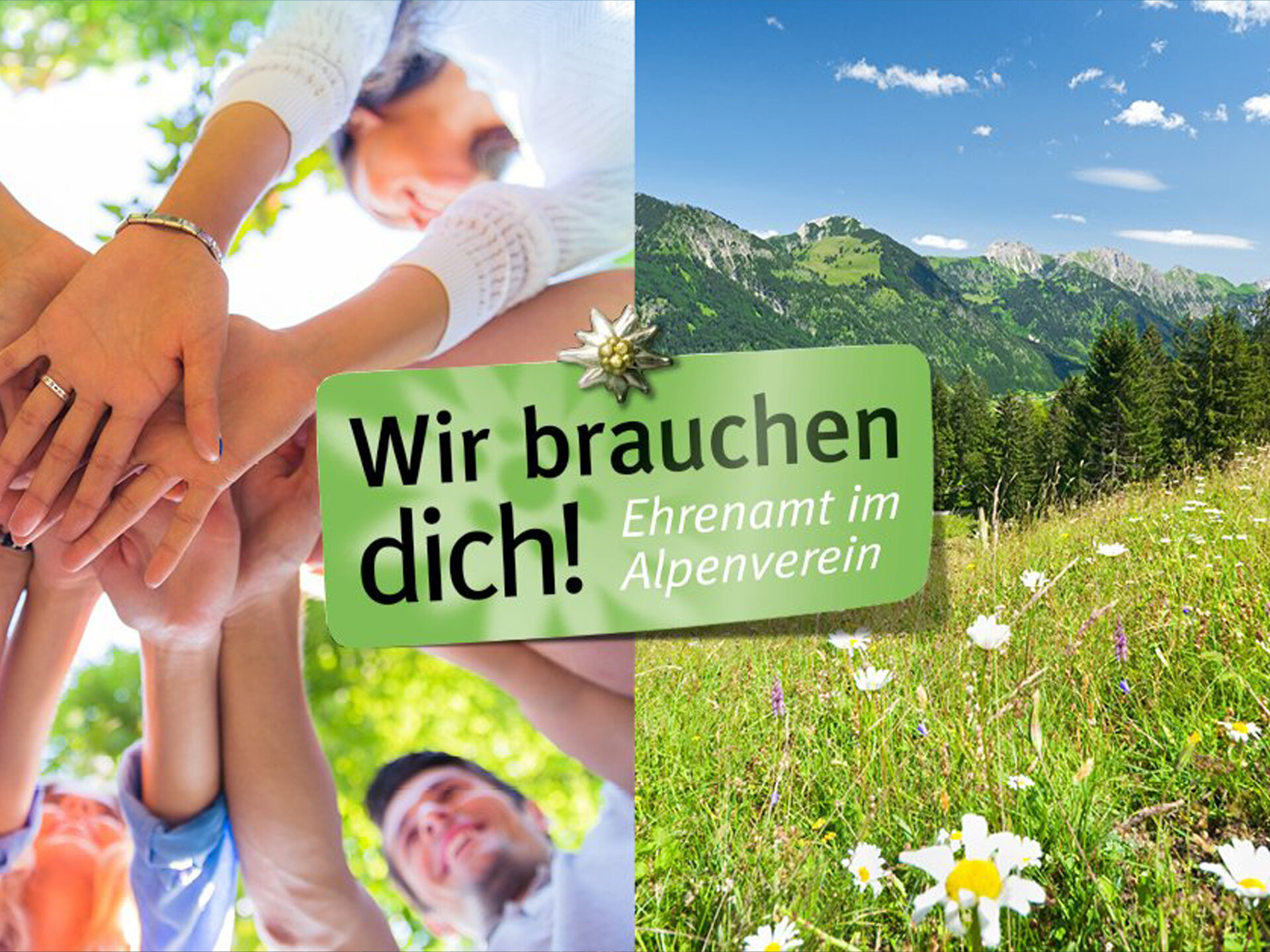 Aufruf: Ehrenamt wir brauchen dich!  Linke Hälfte des Bildes Hände aufeinandergelegt, rechte Seite des Bildes Blumenwiese und Berge | © DAV