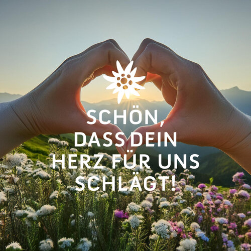 © DAV Sektion Heilbronn Schön, dass dein Herz für uns schlägt! Weiße Schrift mit weißem Edelweiß auf Bildhintergrund. Hände zu Herz geformt vor Blumenwies mit Bergen bei Sonnenuntergang. | © DAV Sektion Heilbronn