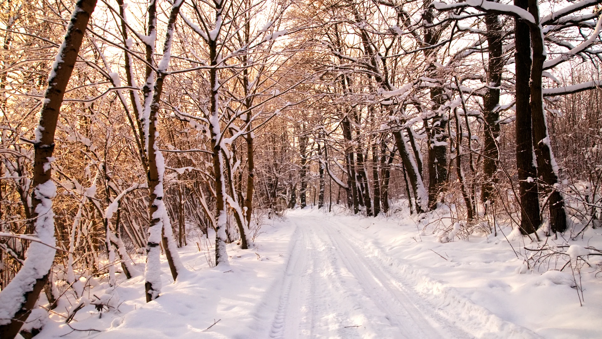 DAV Heilbronn Natur | © freepik