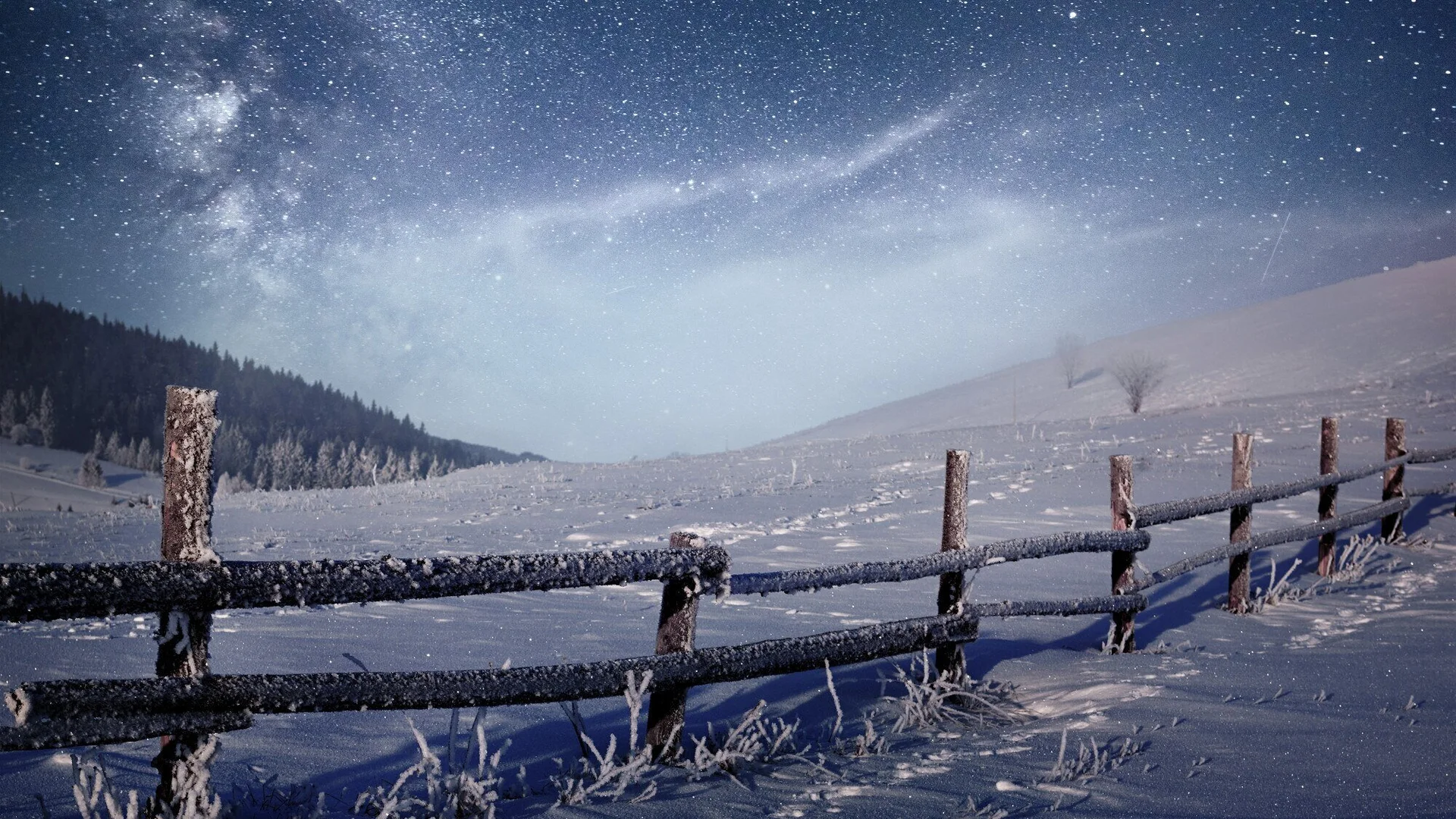 Schneelandschaft mit Zaun. Dunkelblauer Himmel mit Schneefall | © freepik DAV Heilbronn Weihnachten | © freepik
