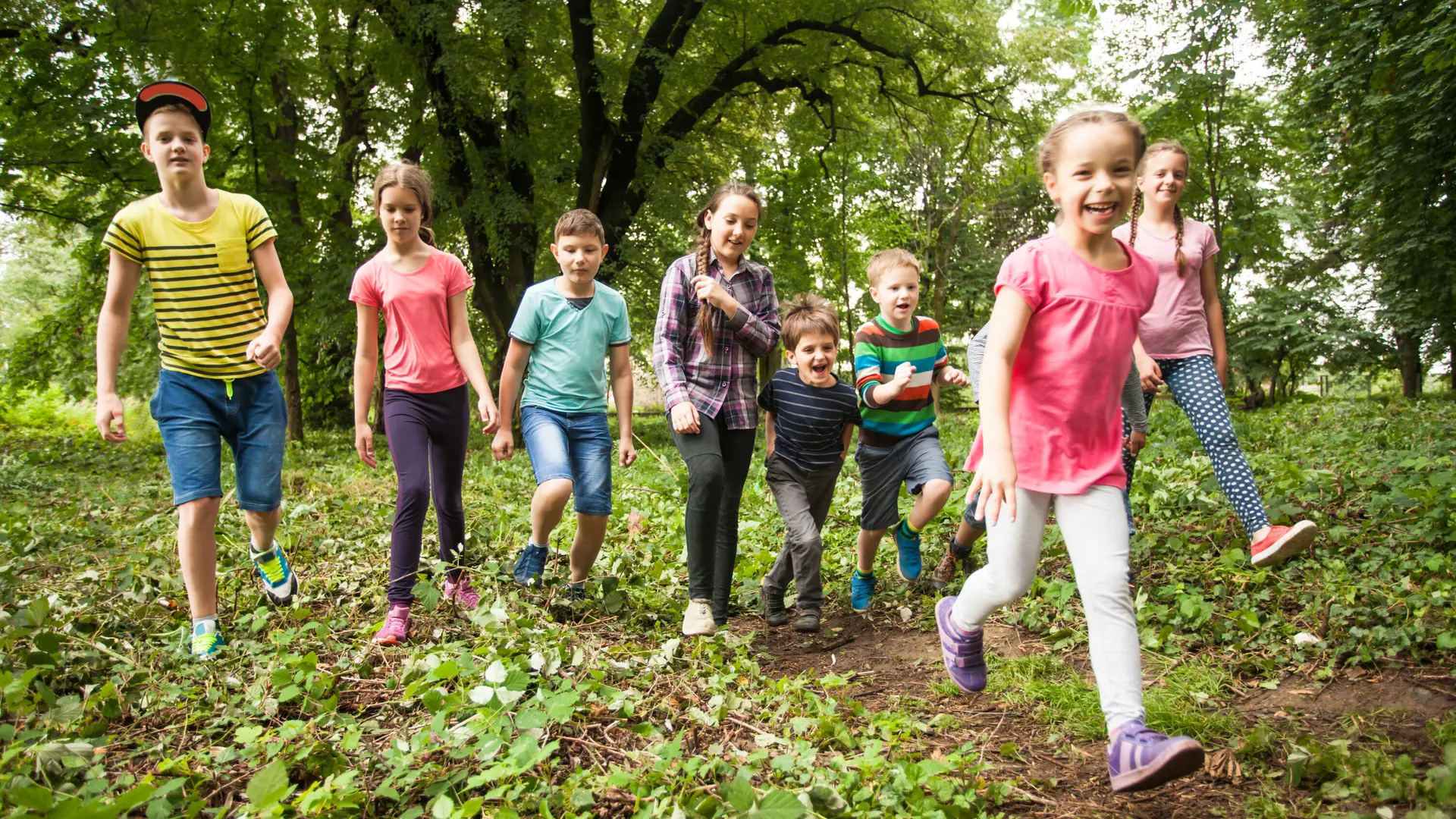 Viele Kinder wandern lachend durch ein Waldgebiet | © Oksix / Adobe Stock