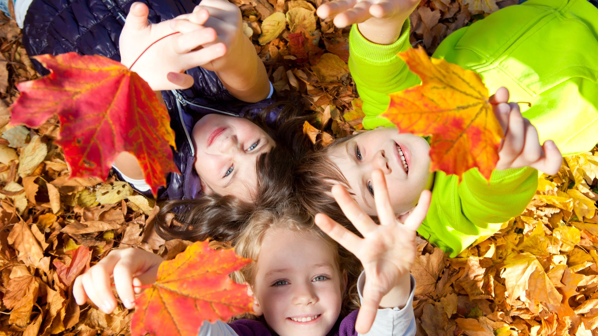 Raus ins echte Leben! | © Drubig Photo / Adobe Stock Kinder spielen mit bunten Hrbstblättern | © Drubig Photo / Adobe Stock